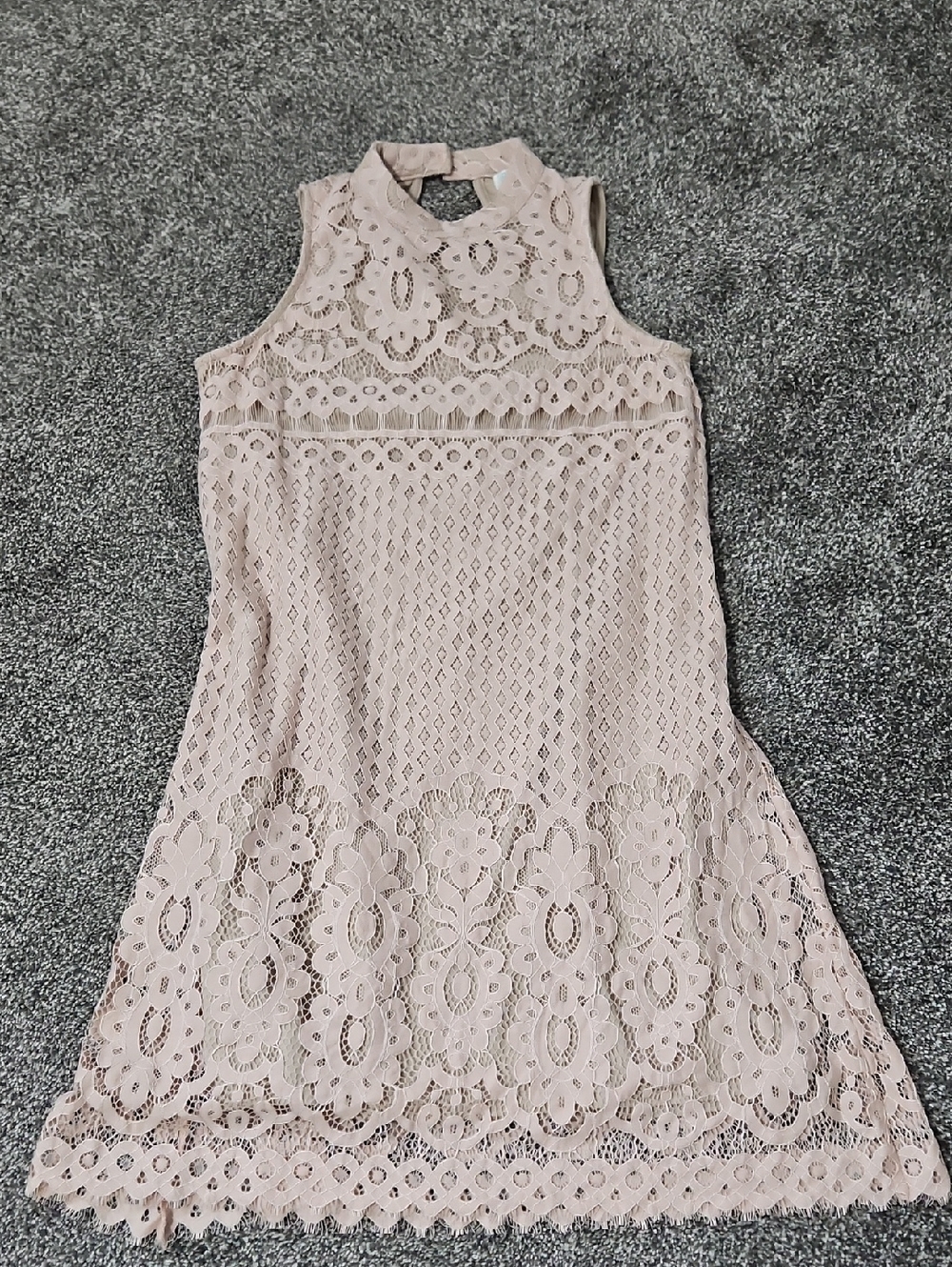 Blush Lace Dress With Scallop Detail